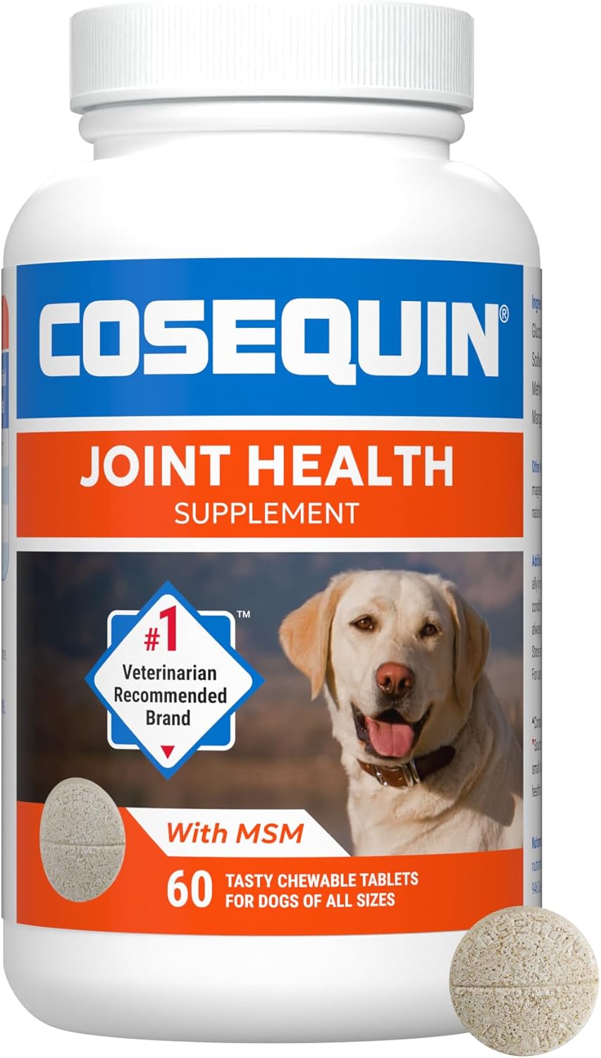 Cosequin Chews for Dogs: Do They Really Help Joints?