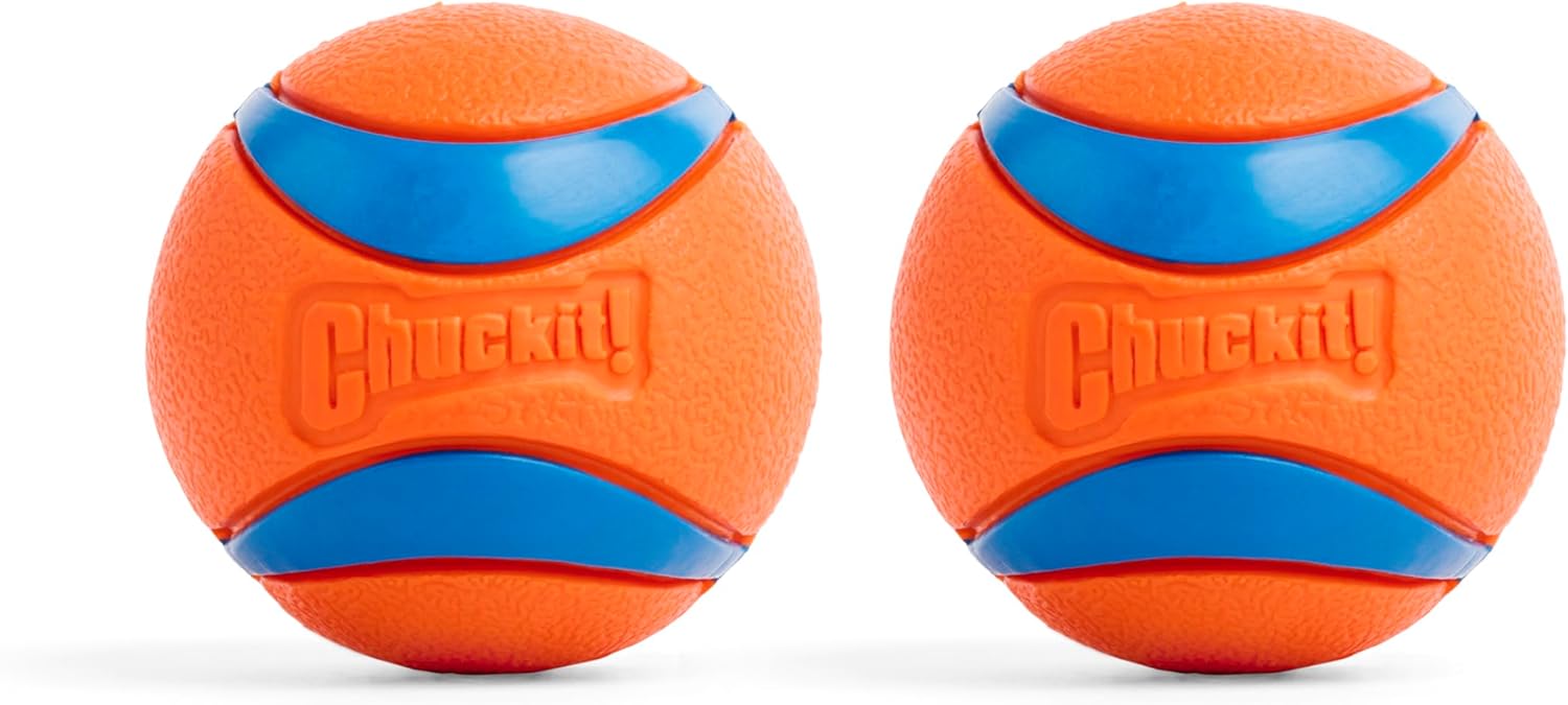 Chuckit! Ultra Ball Dog Toy Review: Worth the Hype?